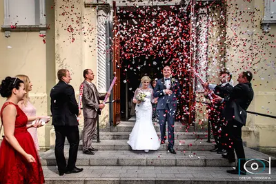 Dzięgiel Fotografia